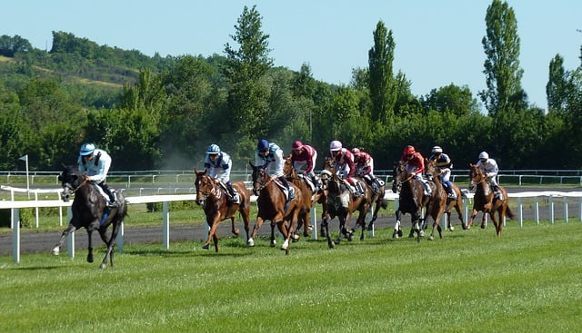 gagner de l'argent avec les courses hippiques