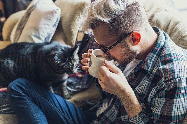 Compétences pour garder les animaux