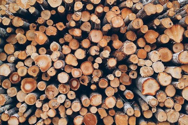 On peut gagner de l'argent avec la vente de bois (sylviculture)