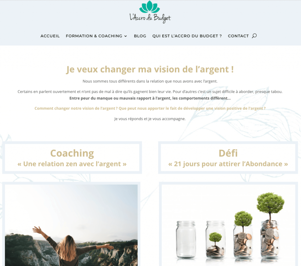 L’Accro du budget